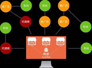 大健康门店拓客系统软件开发模式解析